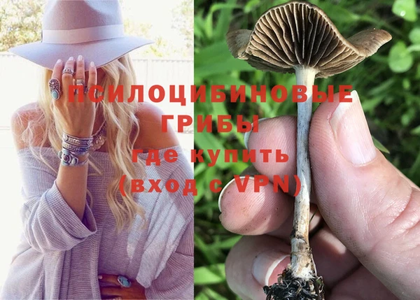 каннабис Коряжма