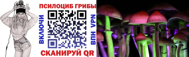 Купить закладки  Карачев  Галлюциногенные грибы Magic Shrooms 